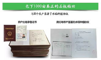 富含钙镁锌和矿物质 营养是普通大米的4倍,每天不到一块钱,安全无污染 让宝宝食欲更好的有机粥米来了丨开团
