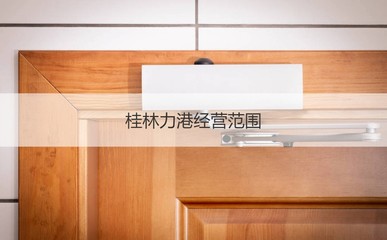 桂林力港工资多少 桂林力港怎么样
