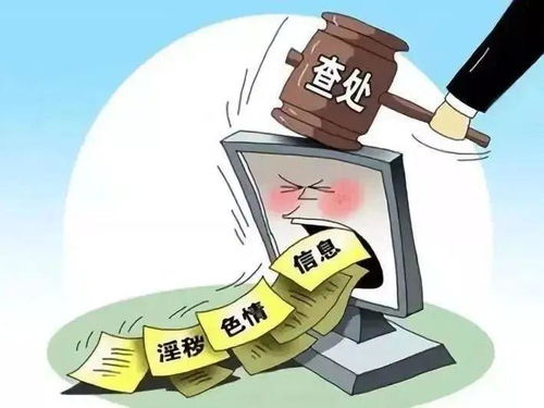 4 11月开展扫黄打非行动,清除网上网下文化垃圾