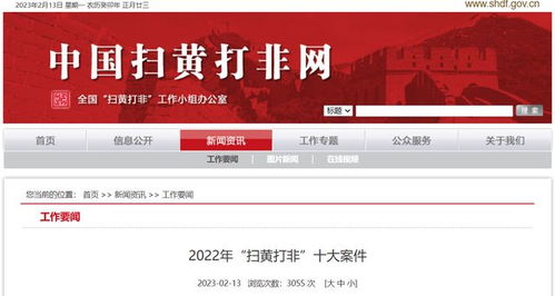 济宁破获特大网络淫秽直播案