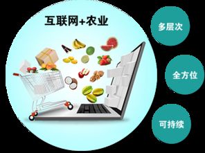 三农金服 互联网时代 谁来为农产品代言