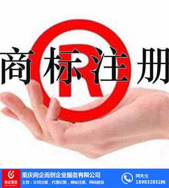 北碚工商变更 向企而创 工商变更流程